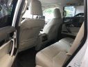 Lexus GX460 2016 - Bán Lexus GX460 phiên bản đù đồ, sản xuất năm 2016, đăng ký 2016, tên công ty xuất hóa đơn VAT