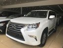 Lexus GX460 2016 - Bán Lexus GX460 phiên bản đù đồ, sản xuất năm 2016, đăng ký 2016, tên công ty xuất hóa đơn VAT