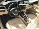 BMW 3 Series 320i 2017 - Bán BMW 3 Series 320i, màu nâu (Jatoba), nhập khẩu nguyên chiếc. Cam kết giá rẻ nhất toàn quốc, có xe giao ngay