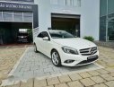 Mercedes-Benz A class  200  2014 - Bán ô tô Mercedes A200 năm 2014, xe nhập