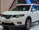 Nissan X trail 2.5 4WD SV 2017 - Bán Nissan X-Trail 2.5 4WD, 2017, giá ưu đãi - LH 0961051102