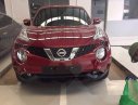 Nissan Juke 2017 - Bán Nissan Juke 2017, màu đỏ