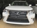 Lexus GX460 2016 - Bán Lexus GX460 phiên bản đù đồ, sản xuất năm 2016, đăng ký 2016, tên công ty xuất hóa đơn VAT