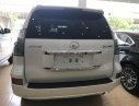 Lexus GX460 2016 - Bán Lexus GX460 phiên bản đù đồ, sản xuất năm 2016, đăng ký 2016, tên công ty xuất hóa đơn VAT