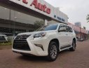 Lexus GX460   2016 - Bán Lexus GX460 sản xuất 2016, đăng ký tên công ty