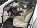 Lexus GX460   2016 - Bán Lexus GX460 sản xuất 2016, đăng ký 2016