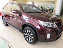 Kia Sorento 2017 - Bán ô tô Kia Sorento đời 2017, màu đỏ, 931 triệu