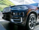 BMW X5 xDrive35i 2016 - Cần bán xe BMW X5 xDrive35i đời 2017, màu nâu, xe nhập, giao xe sớm nhất, giá tốt nhất