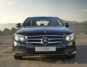 Mercedes-Benz E250   2017 - Bán Mercedes E250 đời 2017, màu đen