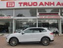 Porsche Cayenne S S 2014 - Cần bán xe Porsche Cayenne S sản xuất 2014, màu trắng, nhập khẩu nguyên chiếc