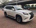 Lexus GX460   2016 - Bán Lexus GX460 sản xuất 2016, đăng ký 2016