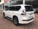 Lexus GX460   2016 - Bán Lexus GX460 sản xuất 2016, đăng ký 2016