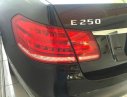 Mercedes-Benz E250 2013 - Bán ô tô Mercedes E250 đời 2013, màu đen số tự động