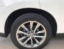 Lexus RX350   2010 - Bán xe Lexus RX350 năm 2010, màu trắng, nhập từ Nhật