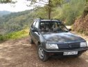 Peugeot 205 1988 - Bán Peugeot 205 đời 1988, giá tốt