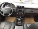 Mercedes-Benz ML Class ML 350 2004 - Cần bán Mercedes ML 350 đời 2004, màu bạc, nhập khẩu nguyên chiếc