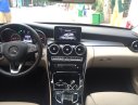 Mercedes-Benz C200 2015 - Cần bán xe Mercedes C200 sản xuất 2015, màu đỏ còn mới