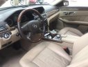 Mercedes-Benz E300 2010 - Bán xe Mercedes E300 đời 2010, màu nâu