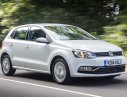 Volkswagen Polo 2017 - Bán Volkswagen Polo sản xuất 2017, màu trắng, xe nhập giá cạnh tranh