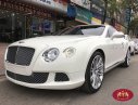 Bentley Continental Speed  2016 - Bán Bentley Continental GT Speed 2016, màu trắng, nhập khẩu nguyên chiếc