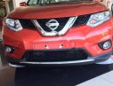 Nissan X trail 2.0AT  Limited Edition 2017 - Cần bán xe Nissan X Trail 2.0AT Limited Edition đời 2017, mới 100%