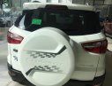 Ford EcoSport   2017 - Bán Ford EcoSport đời 2017, màu trắng
