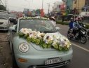 Volkswagen Beetle 2005 - Bán xe Volkswagen Beetle đời 2005, màu xanh lam, nhập khẩu nguyên chiếc, giá chỉ 520 triệu