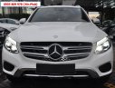 Mercedes-Benz Smart GLC 250 4 Matic 2017 - Bán xe Mercedes GLC 250 4 Matic đời 2017, màu trắng, khuyến mãi hấp dẫn