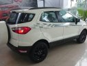 Ford EcoSport   2017 - Bán Ford EcoSport đời 2017, màu trắng