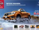 Nissan Navara NP300 E 2017 - Nissan Navara 2017 mới tại Hà Tĩnh giá hấp dẫn, khuyến mãi khủng cuối năm