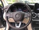 Mercedes-Benz GLC  300 2017 - Cần bán xe Mercedes 300 năm 2017, nhập khẩu