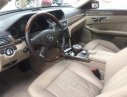 Mercedes-Benz E300 2010 - Bán Mercedes E300 đời 2010, màu nâu