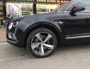 Bentley First Edition 2017 - Cần bán xe Bentley Bentayga First Edition đời 2017, màu đen, xe nhập khẩu