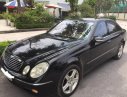 Mercedes-Benz E200 2004 - Cần bán lại xe Mercedes E200 đời 2004, màu đen, 380 triệu