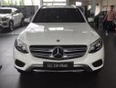 Chrysler 300 2017 - Mercedes GLC 250 - GLC 300 giao ngay, giá tốt nhất miền nam tại Mercedes Trường Chinh