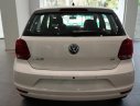 Volkswagen Polo E 2016 - Bán ô tô Volkswagen Polo E năm 2016, màu trắng, xe nhập