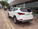 Hyundai Santa Fe CKD 2017 - Bán Hyundai Santa Fe dầu đặc biệt 2017, khuyến mại lên tới gần 100 triệu, đủ màu, giao xe ngay