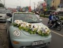 Volkswagen New Beetle 2004 - Cần bán Volkswagen New Beetle đời 2004, màu xanh lam, xe nhập giá cạnh tranh