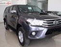 Toyota Hilux G MT 2017 - Cần bán Toyota Hilux G MT đời 2017, màu xám, xe nhập, giá 843tr