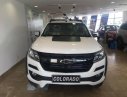 Chevrolet Colorado 2017 - Cần bán xe Chevrolet Colorado đời 2017, màu trắng, 809tr