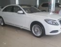 Mercedes-Benz S500  L 2016 - Bán ô tô Mercedes S500L đời 2016, màu trắng, xe nhập như mới