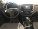 Chevrolet Colorado 2017 - Cần bán xe Chevrolet Colorado đời 2017, màu trắng, 809tr