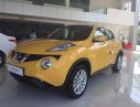 Nissan Juke AT 2015 - Bán Nissan Juke AT đời 2015, màu vàng, nhập khẩu