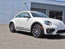 Volkswagen New Beetle 2017 - Bán xe Volkswagen new Beetle năm 2017, màu trắng, nhập khẩu. Nhận đặt cọc xe