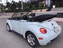 Volkswagen Beetle 2004 - Bán xe Volkswagen Beetle đời 2004, màu trắng, xe nhập