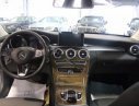 Mercedes-Benz C250 Exclusive 2016 - Cần bán Mercedes C250 đời 2016, màu bạc