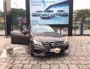 Mercedes-Benz E250 AMG 2015 - Cần bán lại xe Mercedes E250 AMG đời 2015, màu nâu