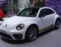 Volkswagen New Beetle 2017 - Bán xe Volkswagen new Beetle năm 2017, màu trắng, nhập khẩu. Nhận đặt cọc xe