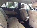 Mercedes-Benz E250 2012 - Cần bán Mercedes đời 2012, màu nâu