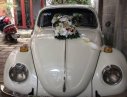 Volkswagen Beetle   1975 - Cần bán Volkswagen Beetle 1975, màu trắng, xe nhập, giá 250tr